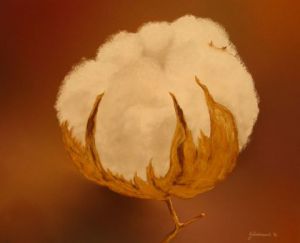 Voir le détail de cette oeuvre: Fleur de coton